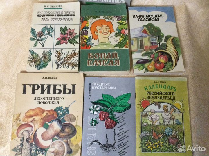 Книга Грибы Федоров Ф.В