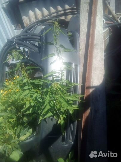 Бампер передний toyota corolla 120