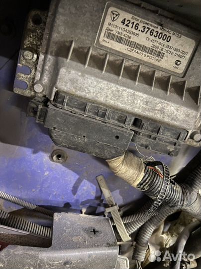 Блок управления микас 10.3 мозги газель 4216