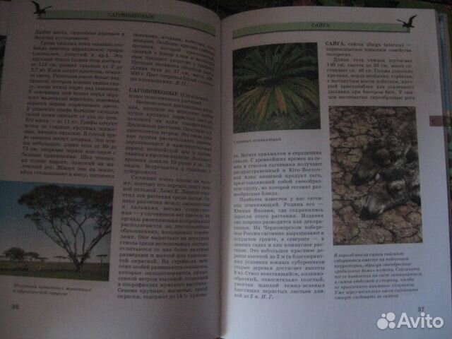 Полная энциклопедия живой природы