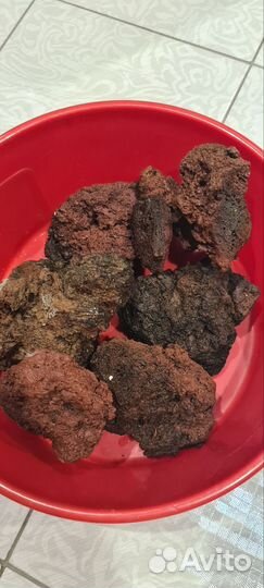 Декор для аквариума