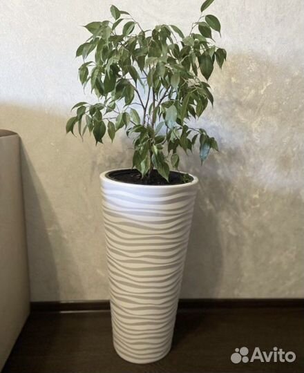 Кашпо горшок для цветов