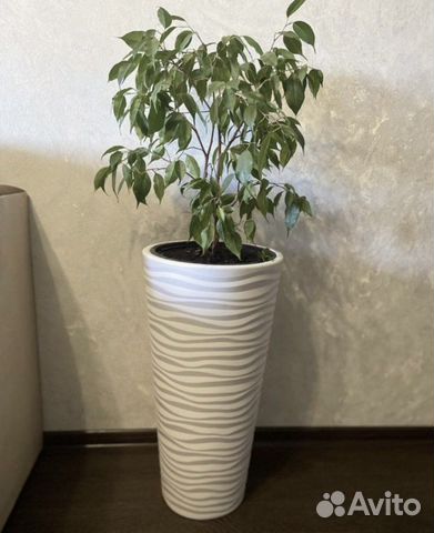 Кашпо горшок для цветов