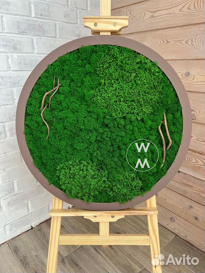 Панели из стабилизированного мха