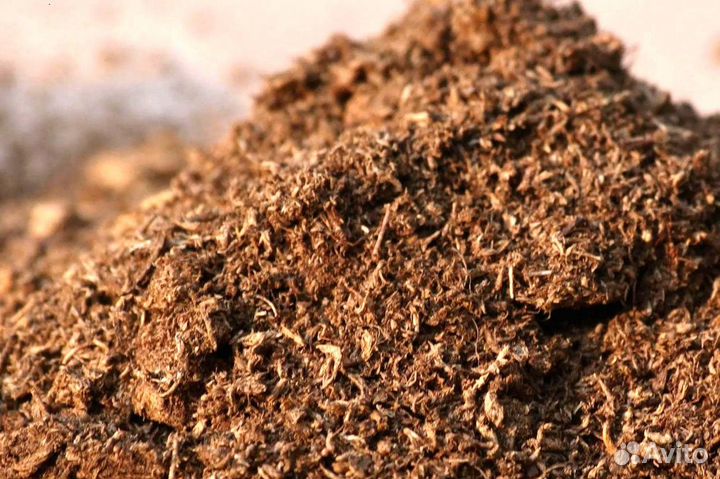 Торф низинный