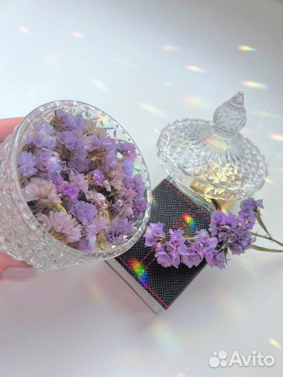 Сухоцветы для творчества