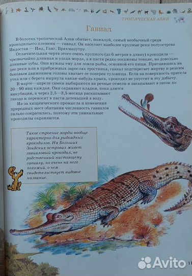 Энциклопедии