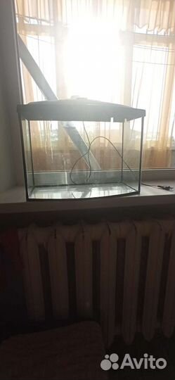 Аквариум в сборе