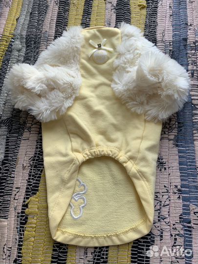 Одежда для маленьких собак