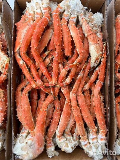 Клешни камчатского краба