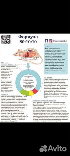 Мой кот - гурман