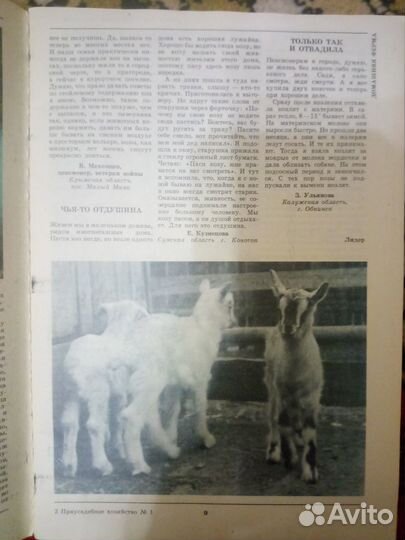Журнал Приусадебное хозяйство №1 1991