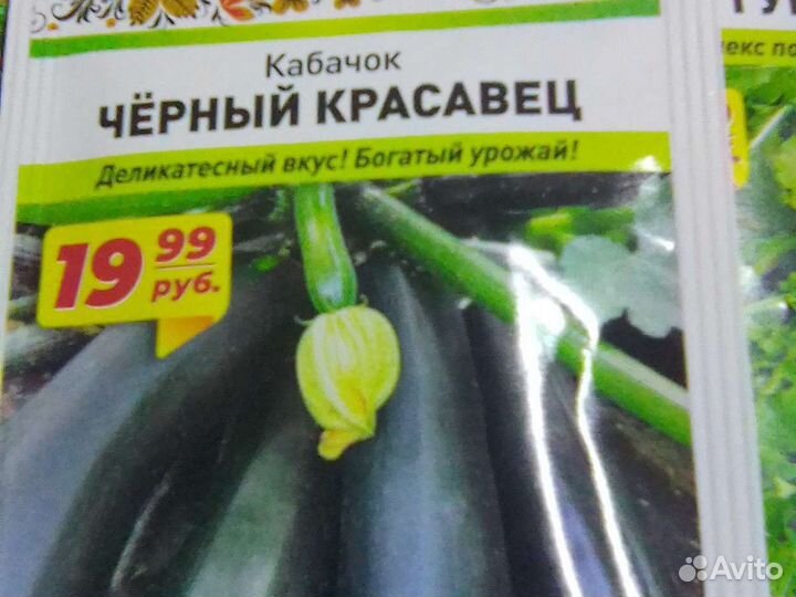 Семена. 5.12.2022г