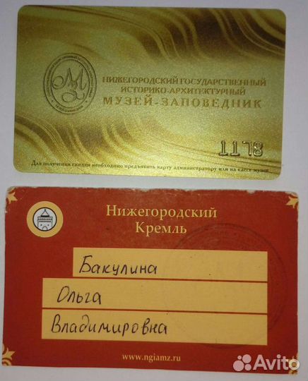 Гид, экскурсовод, экскурсии по Нижнему Новгороду