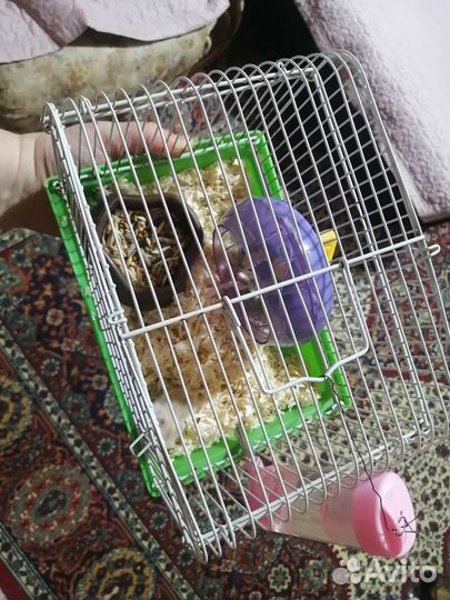 Клетка с хомяком