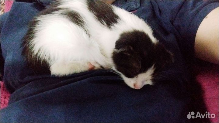 Красивая малышка кушает, лоток знает