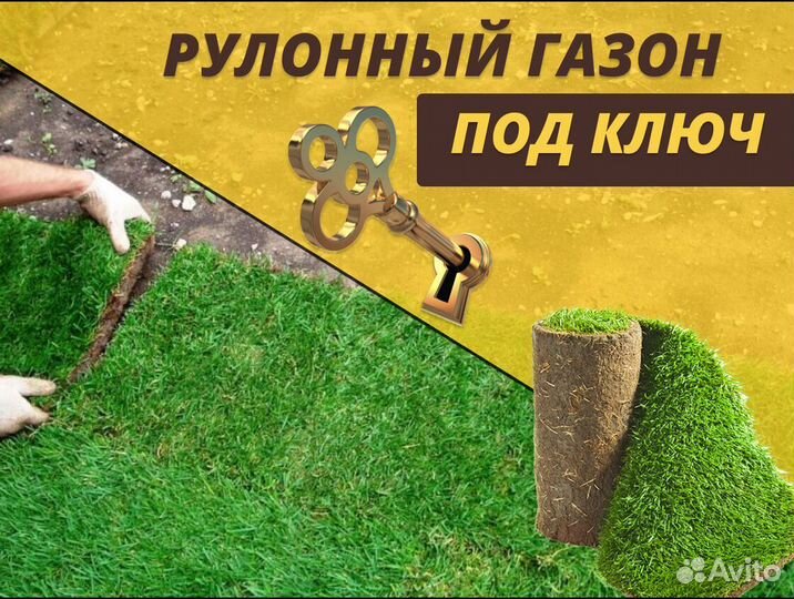 Рулонный газон от производителя спортивный