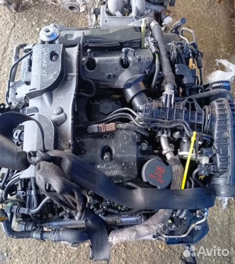 Двигатель Jaguar XF 306DT - 3.0 дизель (б/у)