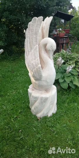 Лебедь белая