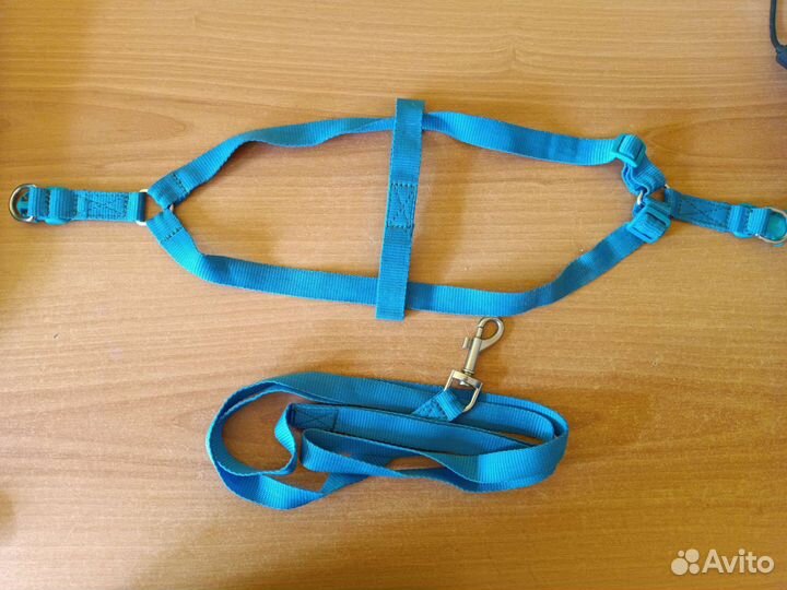 Шлейка для средней собаки