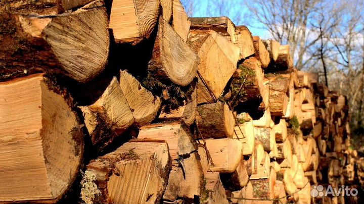 Дрова крупноколотые