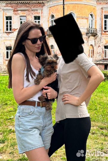 Передержка собак