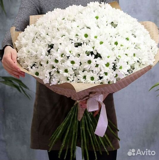 Хризантема