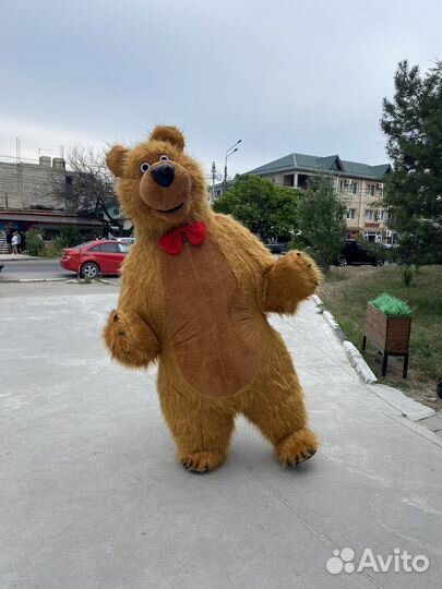 Мишка Маша и медведь бурый мишка поздравление