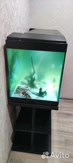Аквариум с тумбой 300 литров