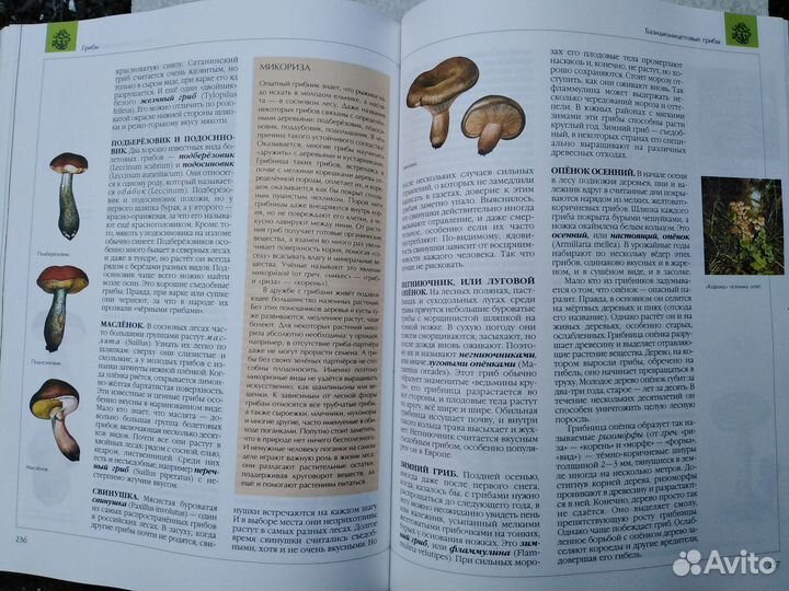 Книга,Энциклопедия для детей Биология