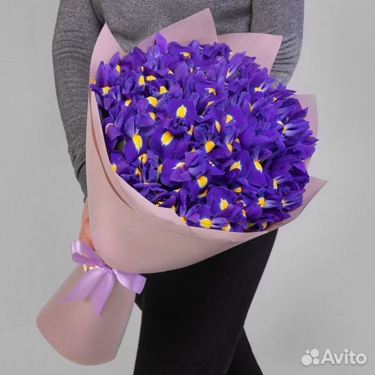 Ирисы с бесплатной доставкой