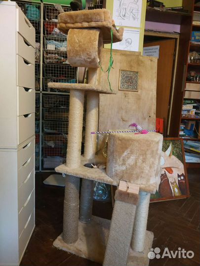 Дом когтеточка для кошки + подарки)