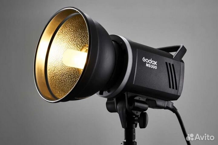 Godox ms 300