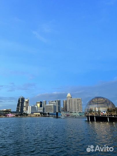 Услуги байера из Малайзии/Сингапура