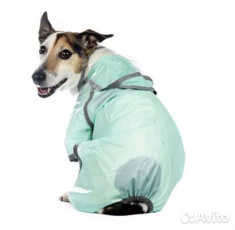 Дождевик для собак средних пород унисекс