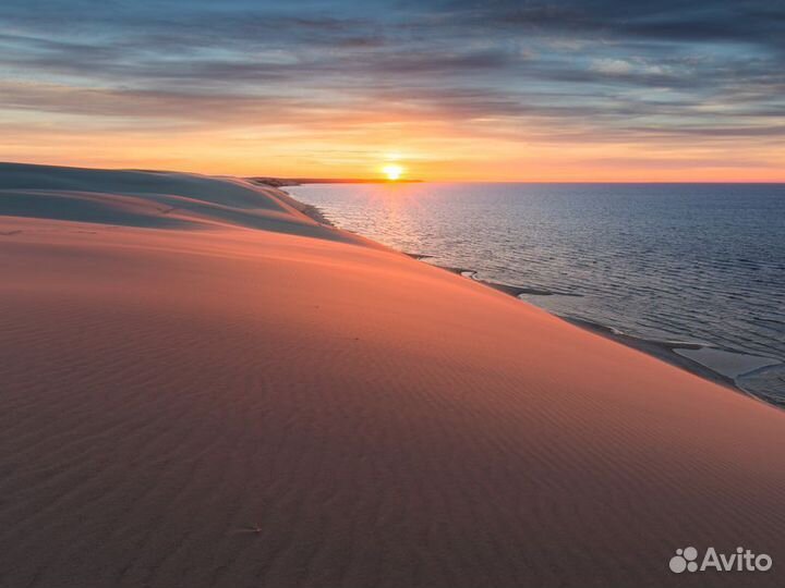 Экскурсия — Калининград — Куршская коса, Зеленогра