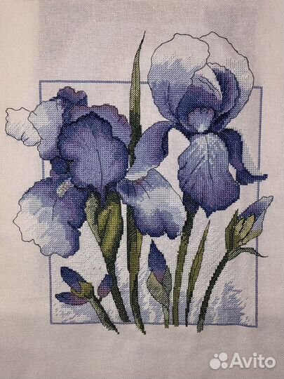 Картина «Ирисы»