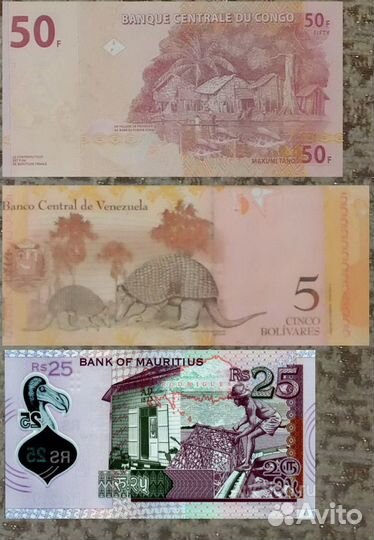 Конго, Венесуэла, Маврикий