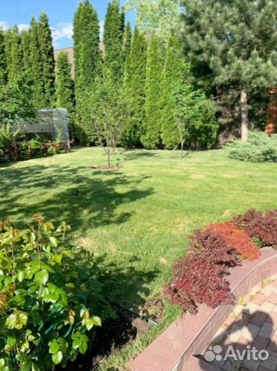 Укладка рулонного газона+Ландшафт участка под ключ