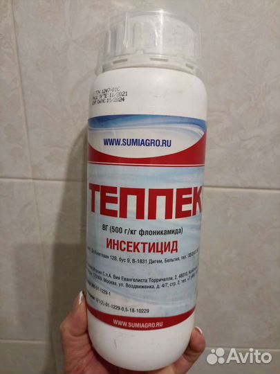 Оберон Рапид