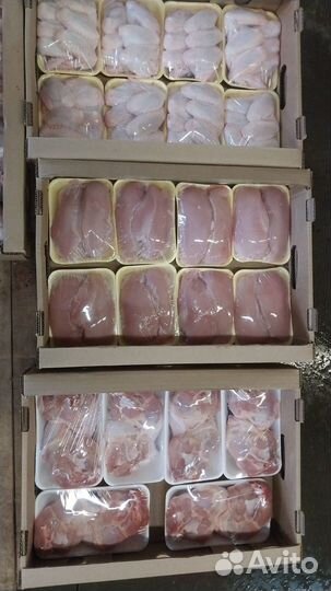 Цыплята бройлеры мясо