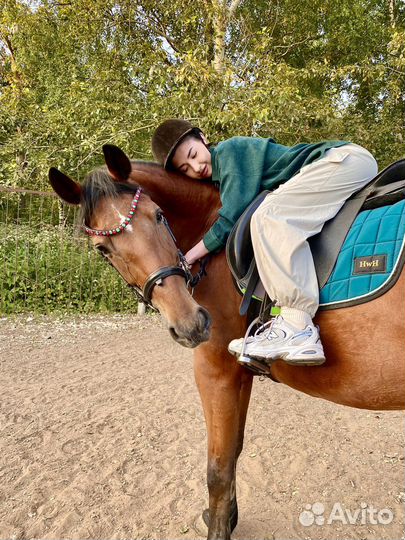 Катание на лошадях в Нижнем Новгороде,прокат