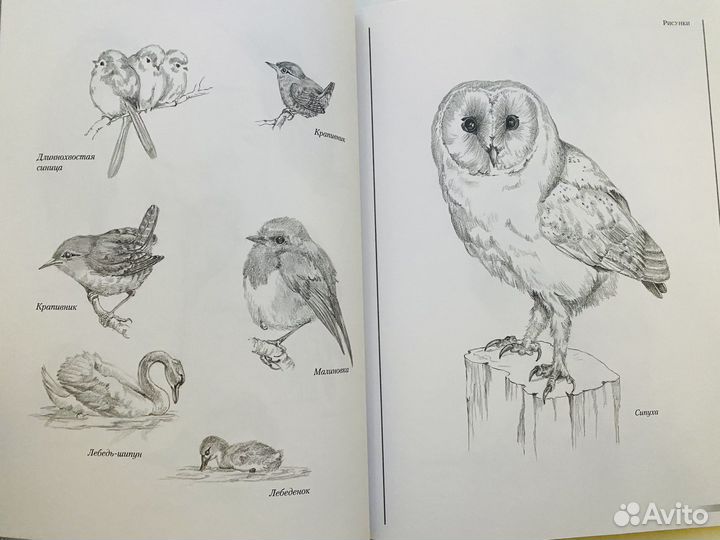 Книга Выжигание по дереву Норма Грегори