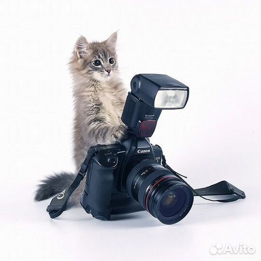 Фотограф в Павшинское Пойме