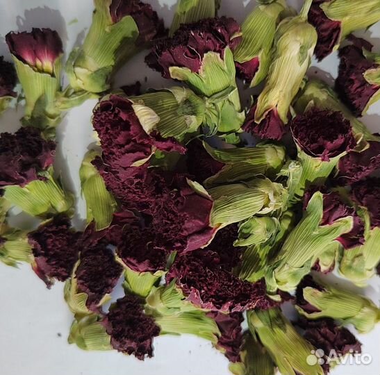 Гвоздика китайская