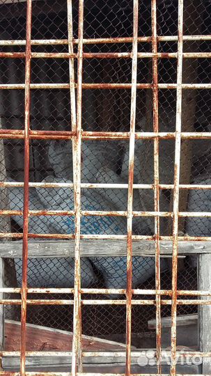 Ambertruck JL шасси, 1998