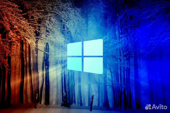 Установка windows 10 выезд