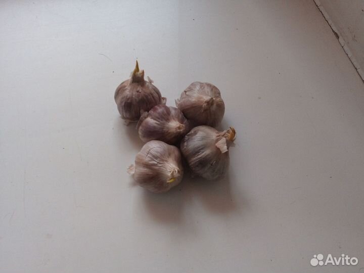 Чеснок на всякие цели