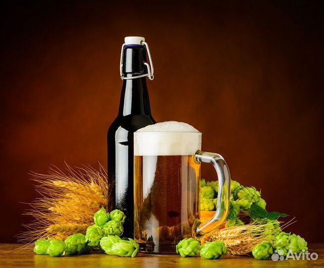 Хмель саженцы