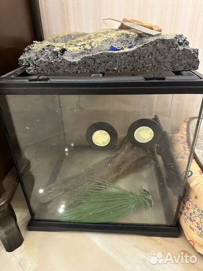 Террариум для рептилий